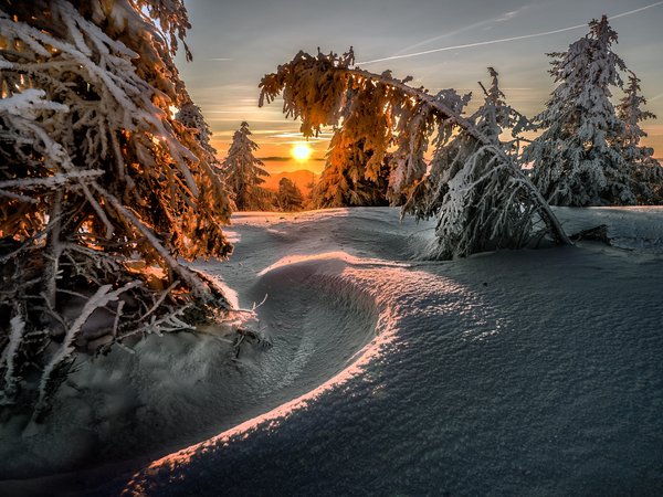 Robert Didierjean, деревья, ели, закат, зима, пейзаж, природа, снег, солнце