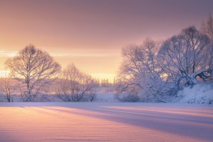 Обои на рабочий стол: деревья, зима, мороз, рассвет, Роман Мурашов, снег, утро