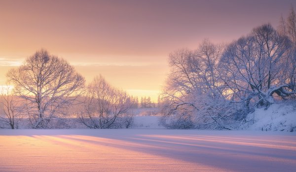 Обои на рабочий стол: деревья, зима, мороз, рассвет, Роман Мурашов, снег, утро