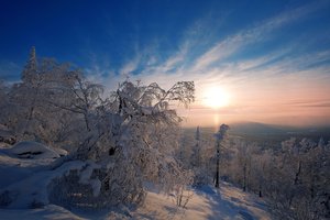 Обои на рабочий стол: деревья, зима, рассвет, россия, снег, утро