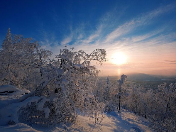 деревья, зима, рассвет, россия, снег, утро