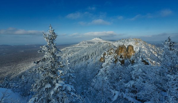 Обои на рабочий стол: деревья, зима, лес, панорама, россия, снег