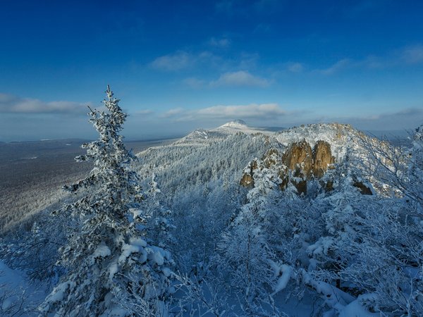 деревья, зима, лес, панорама, россия, снег