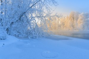 Обои на рабочий стол: деревья, зима, иней, мороз, река, россия, снег