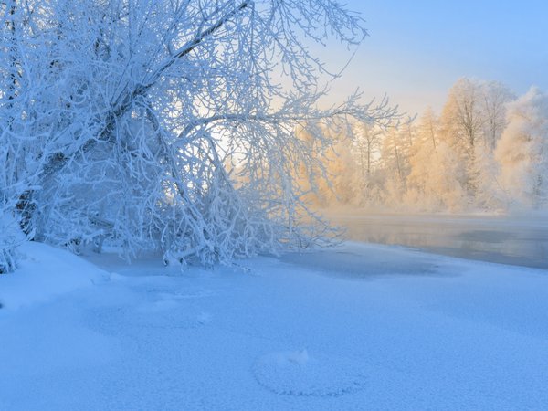 деревья, зима, иней, мороз, река, россия, снег