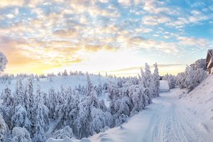 Обои на рабочий стол: Finland, Kuusamo, Rukatunturi, деревья, зима, Куусамо, рука, снег, Финляндия