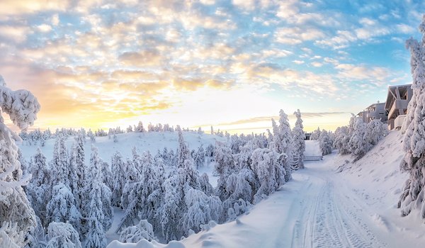 Обои на рабочий стол: Finland, Kuusamo, Rukatunturi, деревья, зима, Куусамо, рука, снег, Финляндия