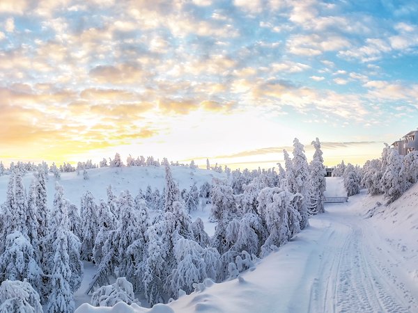 Finland, Kuusamo, Rukatunturi, деревья, зима, Куусамо, рука, снег, Финляндия