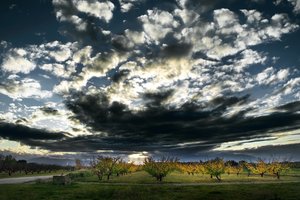 Обои на рабочий стол: небо, природа, сад