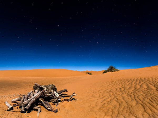 Sahara, звезды, коряги, небо, ночь, песок, пустыня, пустыня Сахара, Сахара