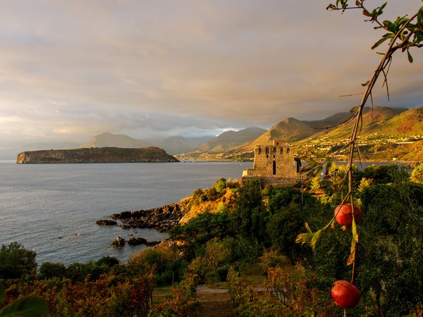 Calabria, Cosenza, italy, landscape, mediterranean, nature, plants, pomegranates, San Nicola Arcella, sea, tower