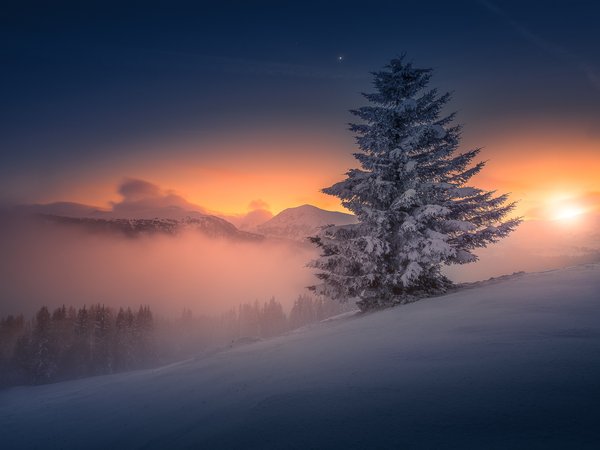 Seetaler Alpen, австрия, вечер, ель, закат