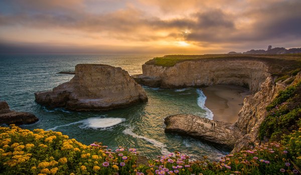 Обои на рабочий стол: california, Pacific Ocean, Santa Cruz, Shark Fin Cove, бухта, закат, калифорния, побережье, Санта-Круз, скалы, тихий океан, цветы