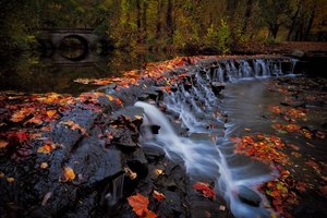 Обои на рабочий стол: Ohio, Sharon Woods Park, Sharonville, водопад, каскад, лес, мост, огайо, опавшие листья, осень, парк, река, Шаронвилл