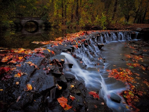 Ohio, Sharon Woods Park, Sharonville, водопад, каскад, лес, мост, огайо, опавшие листья, осень, парк, река, Шаронвилл