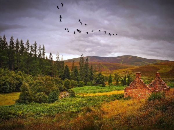 осень, пейзаж, шотландия