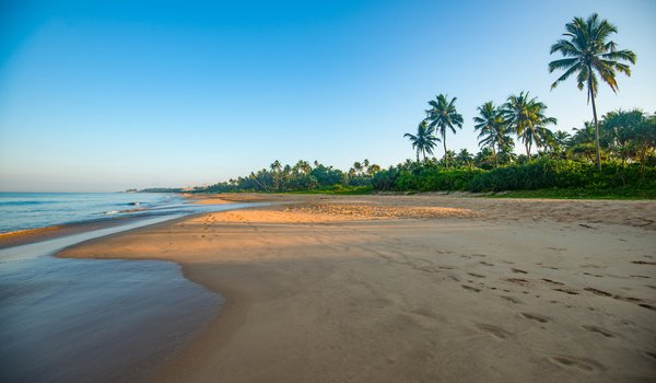 Обои на рабочий стол: Bentota Beach, пальмы, пляж, побережье, Шри-Ланка