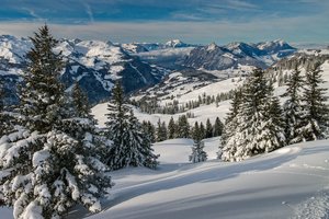 Обои на рабочий стол: Альпы, горы, деревья, ели, зима, пейзаж, природа, снег, швейцария