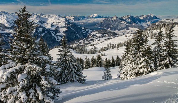 Обои на рабочий стол: Альпы, горы, деревья, ели, зима, пейзаж, природа, снег, швейцария