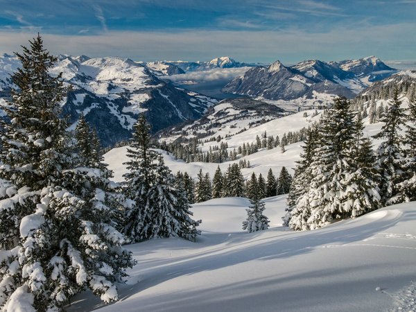 Альпы, горы, деревья, ели, зима, пейзаж, природа, снег, швейцария