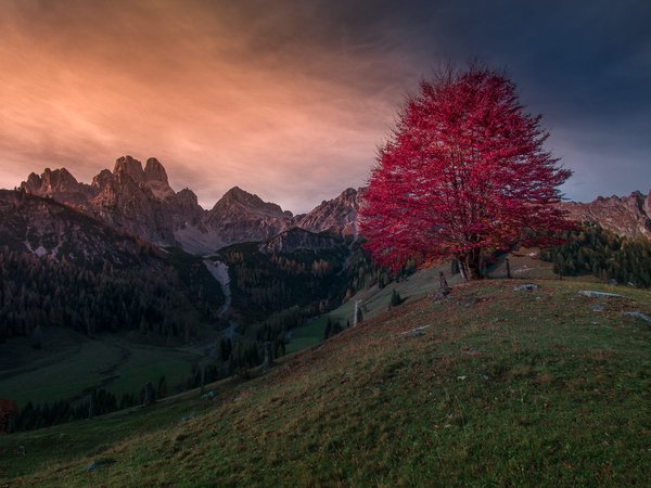 Friedrich Beren, австрия, горы, дерево, леса, осень, пейзаж, природа, склоны, трава, тучи