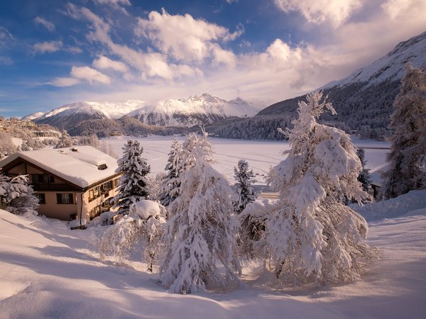 горы, деревья, дом, ели, зима, коттедж, леса, пейзаж, природа, Санкт-Мориц, снег, швейцария