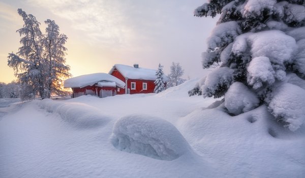 Обои на рабочий стол: деревья, домик, ель, зима, Сергей Алещенко, снег, сугробы, швеция