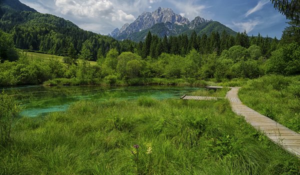Обои на рабочий стол: горы, озеро, Словения, трава, тропа, фото