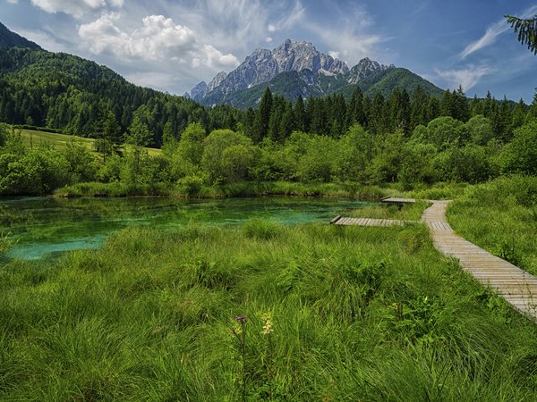 горы, озеро, Словения, трава, тропа, фото