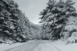 Обои на рабочий стол: Батраз Табуев, дорога, ель, заснеженная дорога, снег, Цей