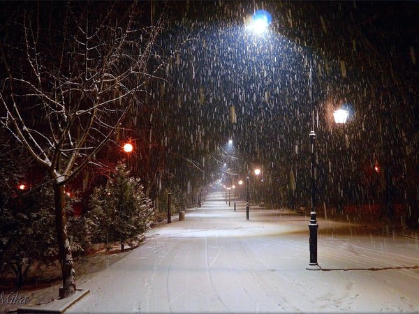 frost, night, snow, winter, зима, мороз, ночь, снег, фонари