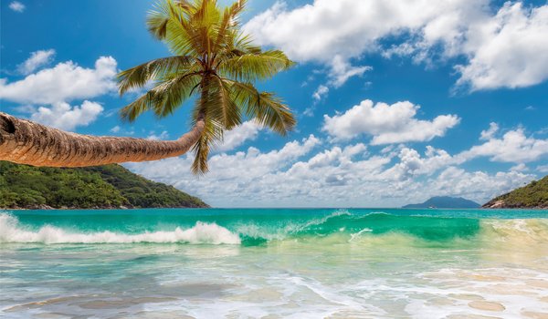 Обои на рабочий стол: beach, island, palms, paradise, sand, sea, summer, tropical, берег, море, пальмы, песок, пляж, солнце