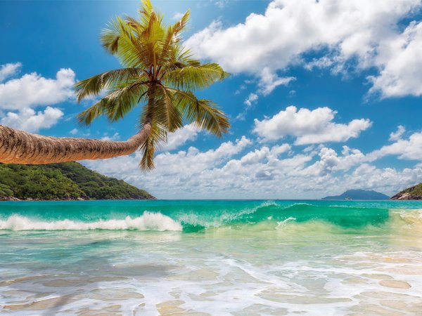 beach, island, palms, paradise, sand, sea, summer, tropical, берег, море, пальмы, песок, пляж, солнце