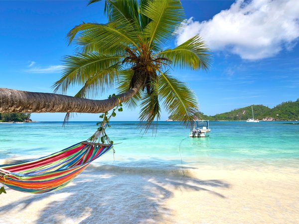 beach, island, palms, paradise, sand, sea, summer, tropical, берег, гамак, море, пальмы, песок, пляж, солнце