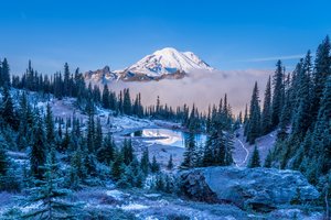 Обои на рабочий стол: Mount Rainier, горы, ели, озеро, пейзаж, сша