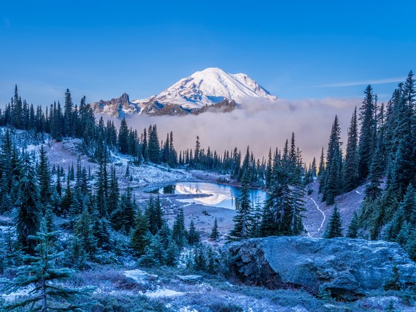 Mount Rainier, горы, ели, озеро, пейзаж, сша