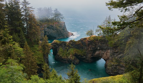 Обои на рабочий стол: деревья, океан, Орегон, пейзаж, природа, скалы, сша, туман