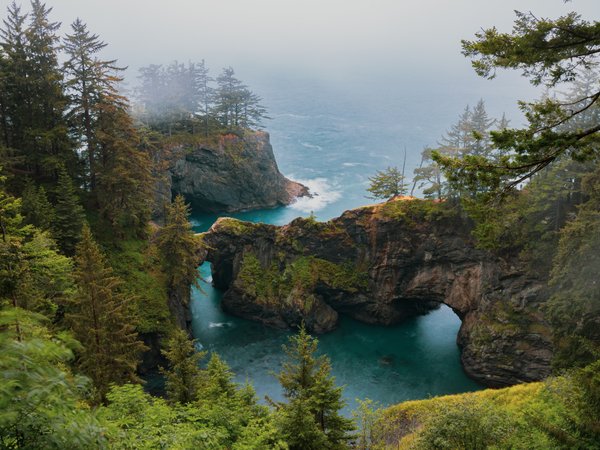 деревья, океан, Орегон, пейзаж, природа, скалы, сша, туман