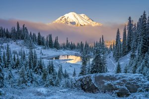 Обои на рабочий стол: Mount Rainier, горы, ели, пейзаж, сша