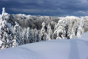 Обои на рабочий стол: British Columbia, canada, North Shore Mountains, North Vancouver, Seymour Provincial Park, Suicide Bluff, Британская Колумбия, горы, деревья, ели, зима, канада, Норт-Ванкувер, снег