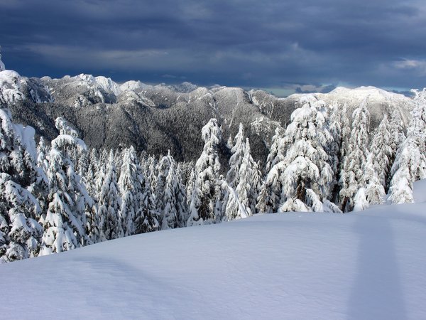British Columbia, canada, North Shore Mountains, North Vancouver, Seymour Provincial Park, Suicide Bluff, Британская Колумбия, горы, деревья, ели, зима, канада, Норт-Ванкувер, снег
