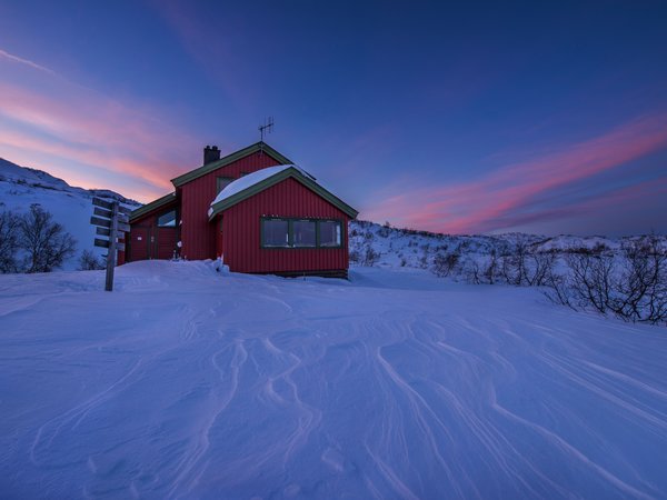 norway, Taumevatn, Vest-Agder, дом, зима, кусты, небо, норвегия, снег