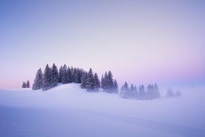 Обои на рабочий стол: Jura Mountains, switzerland, Tête-de-Ran, деревья, ели, зима, рассвет, снег, сугробы, туман, утро, швейцария, Юра
