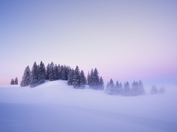 Jura Mountains, switzerland, Tête-de-Ran, деревья, ели, зима, рассвет, снег, сугробы, туман, утро, швейцария, Юра