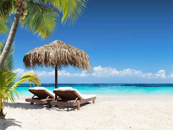 beach, palms, paradise, sand, sea, tropical, vacation, море, отдых, песок, пляж