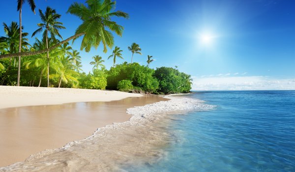 Обои на рабочий стол: пальмы, пляж, побережье, тропики