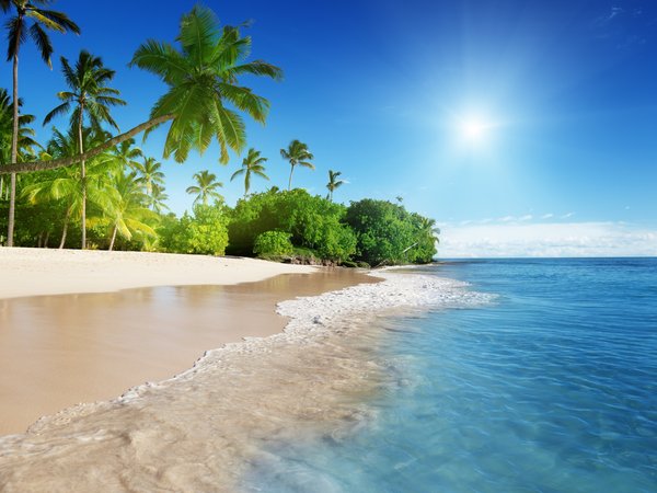 пальмы, пляж, побережье, тропики