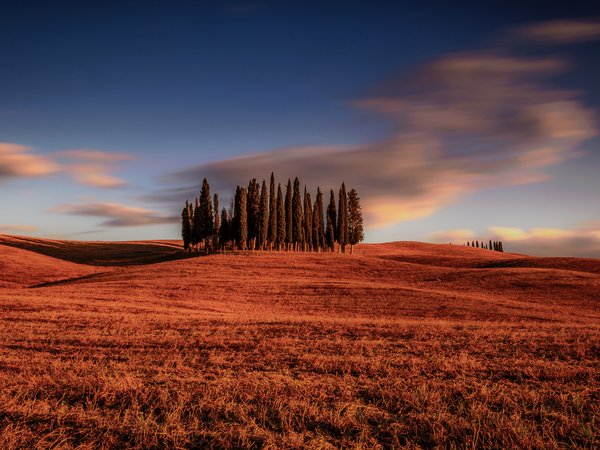 italy, Tuscany, деревья, италия, кипарисы, облака, поле, Тоскана