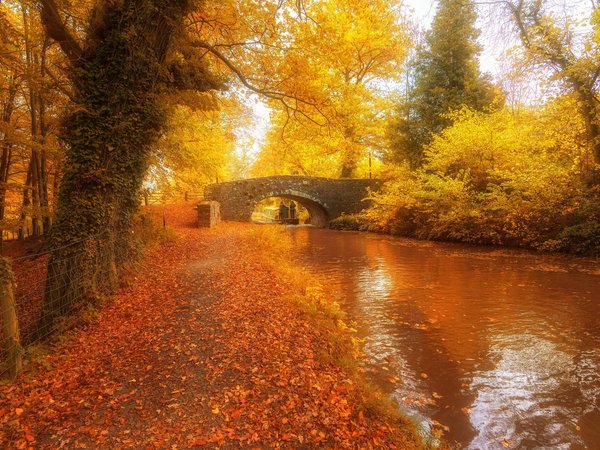 мост, объединенное королевство, осень, река, Уэльс, фото