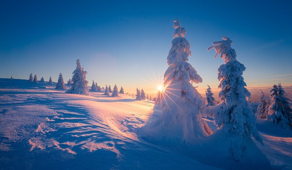 Обои на рабочий стол: Velka Fatra, Велька Фатра, горы, деревья, ели, закат, зима, лучи, пейзаж, природа, склон, Словакия, снег, солнце